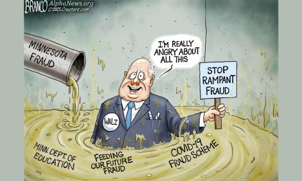 Minnesota Democrats using ICE as a distraction from THE scandal