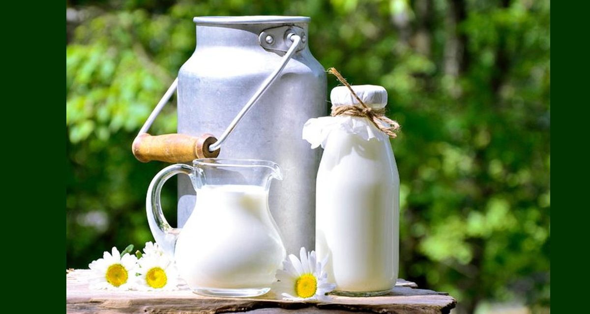 Raw Milk Sale Brewing into a Political Battle