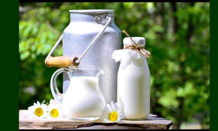 Raw Milk Sale Brewing into a Political Battle