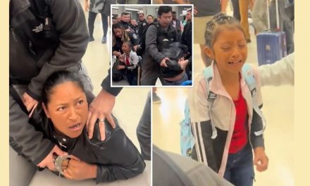 Legit ICE arrest of Migrant Criminal at SF Airport Sparks Fearmongering by the Left