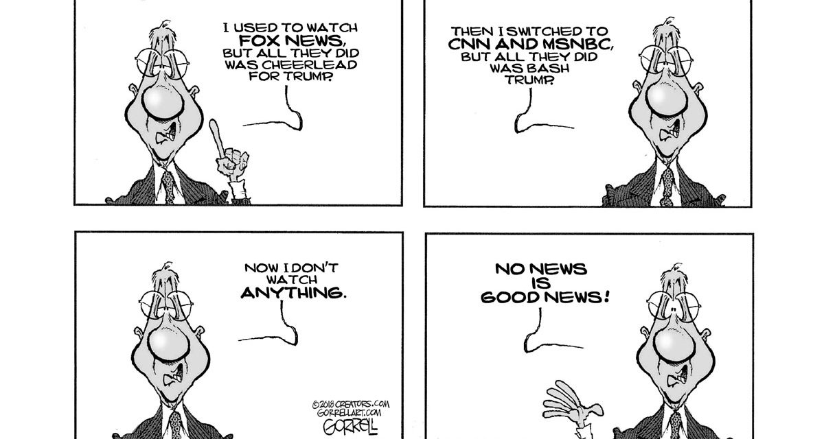 A Detailed Look at News Media Bais