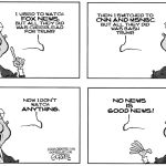 A Detailed Look and News Media Bais