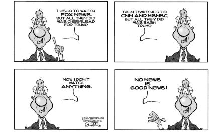 A Detailed Look at News Media Bais