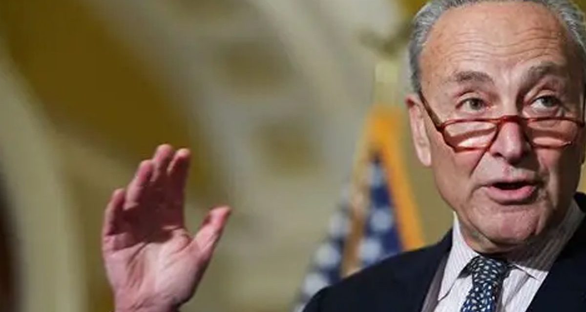 Schumer faces Discontent from Disaffected Dems