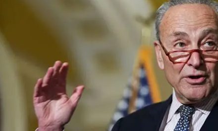 Schumer faces Discontent from Disaffected Dems