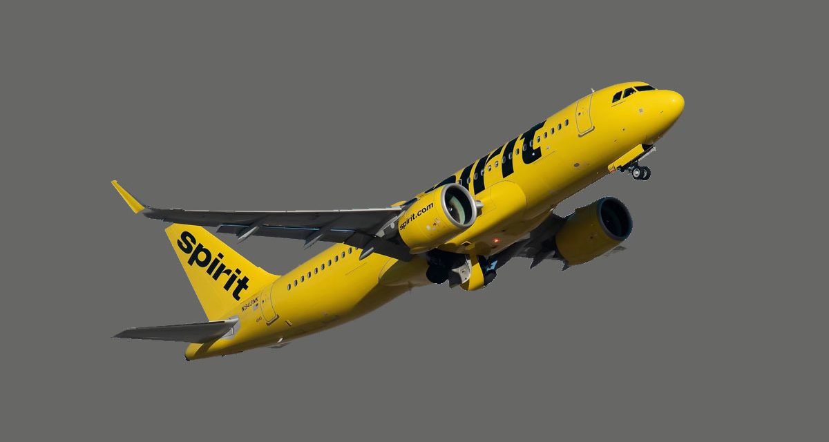 Pledges Pour In for Spirit Airlines after It Announced Shutdown