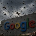 Google Seeking EPA Permission to Release GMO Mosquitoes in CA and FL