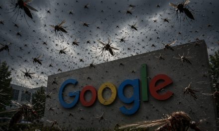 Google Seeking EPA Permission to Release GMO Mosquitoes in CA an FL