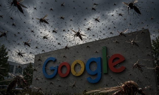Google Seeking EPA Permission to Release GMO Mosquitoes in CA and FL