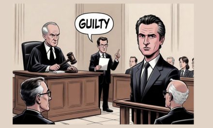 Newsom Investigation is Serious Business