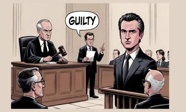 Newsom Investigation is Serious Business