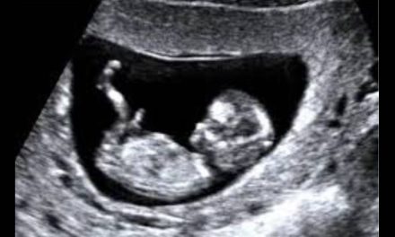 Planned Parenthood to Regain Federal Funding