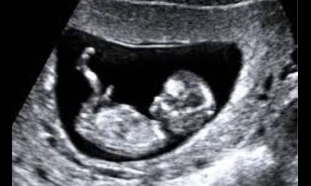 Planned Parenthood to Regain Federal Funding