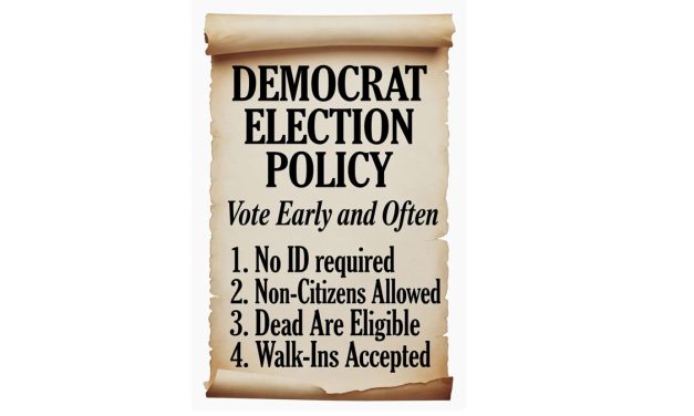 Democrats Defend the Rights of Illegal Voters